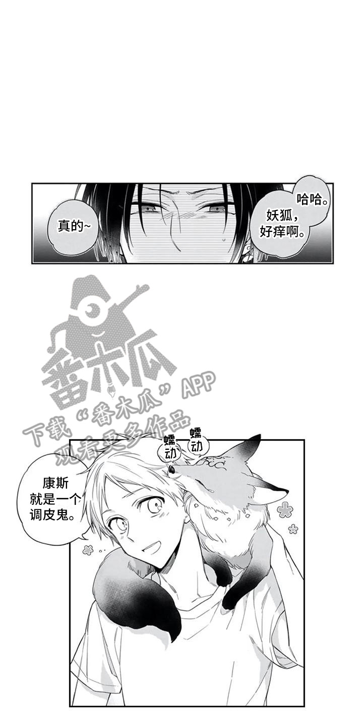 第10章：宠物5