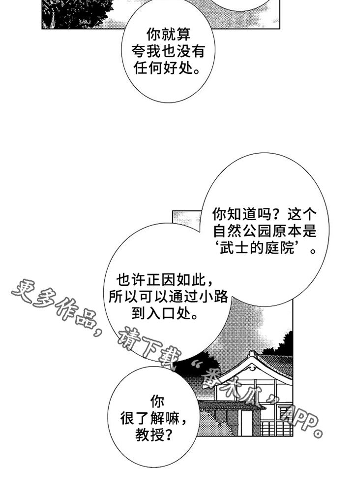 第11章：安稳13