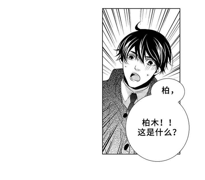第2章：无视13