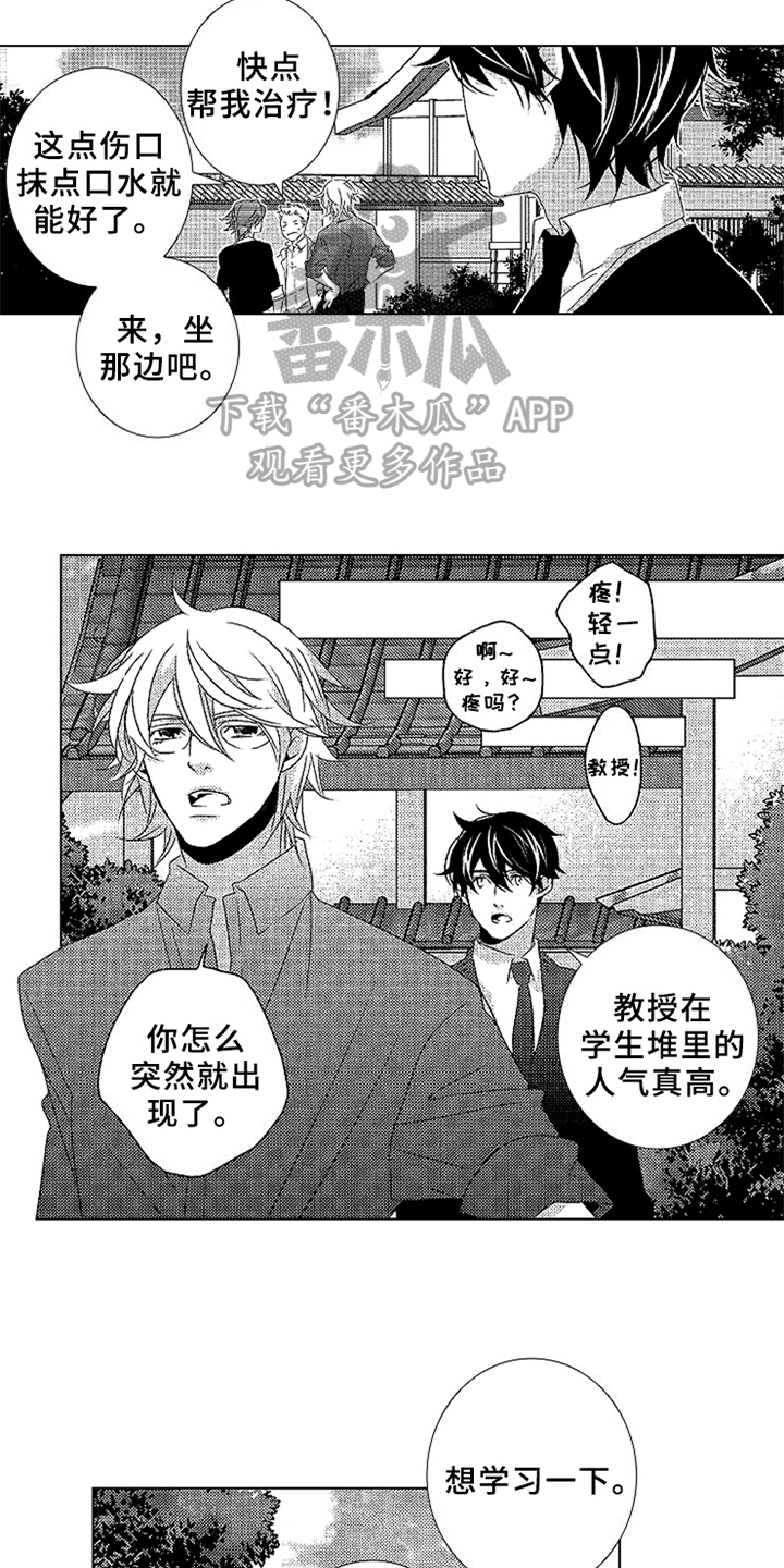 第11章：安稳12