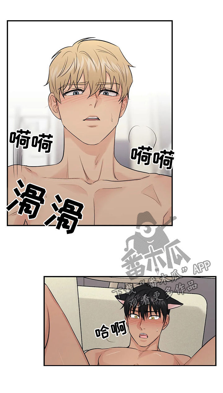 第41章：【第二季】幸福的6
