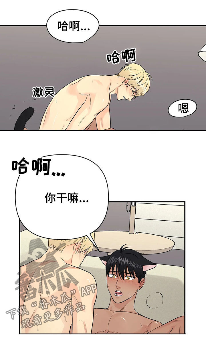 第41章：【第二季】幸福的8