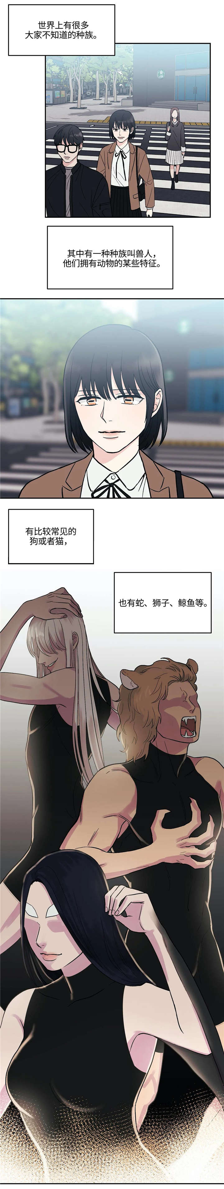 第3章：兽人5