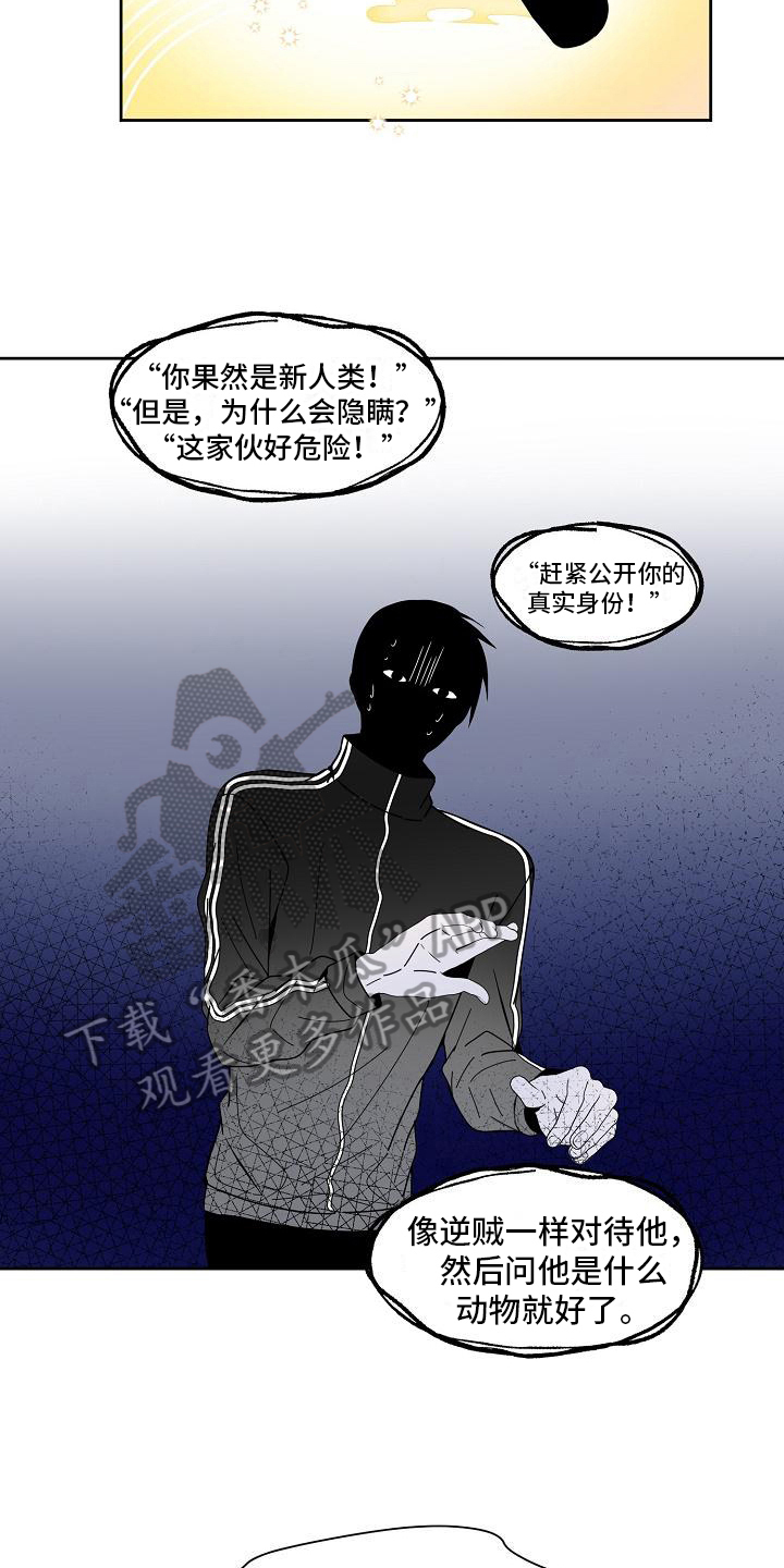 第29章：计划13