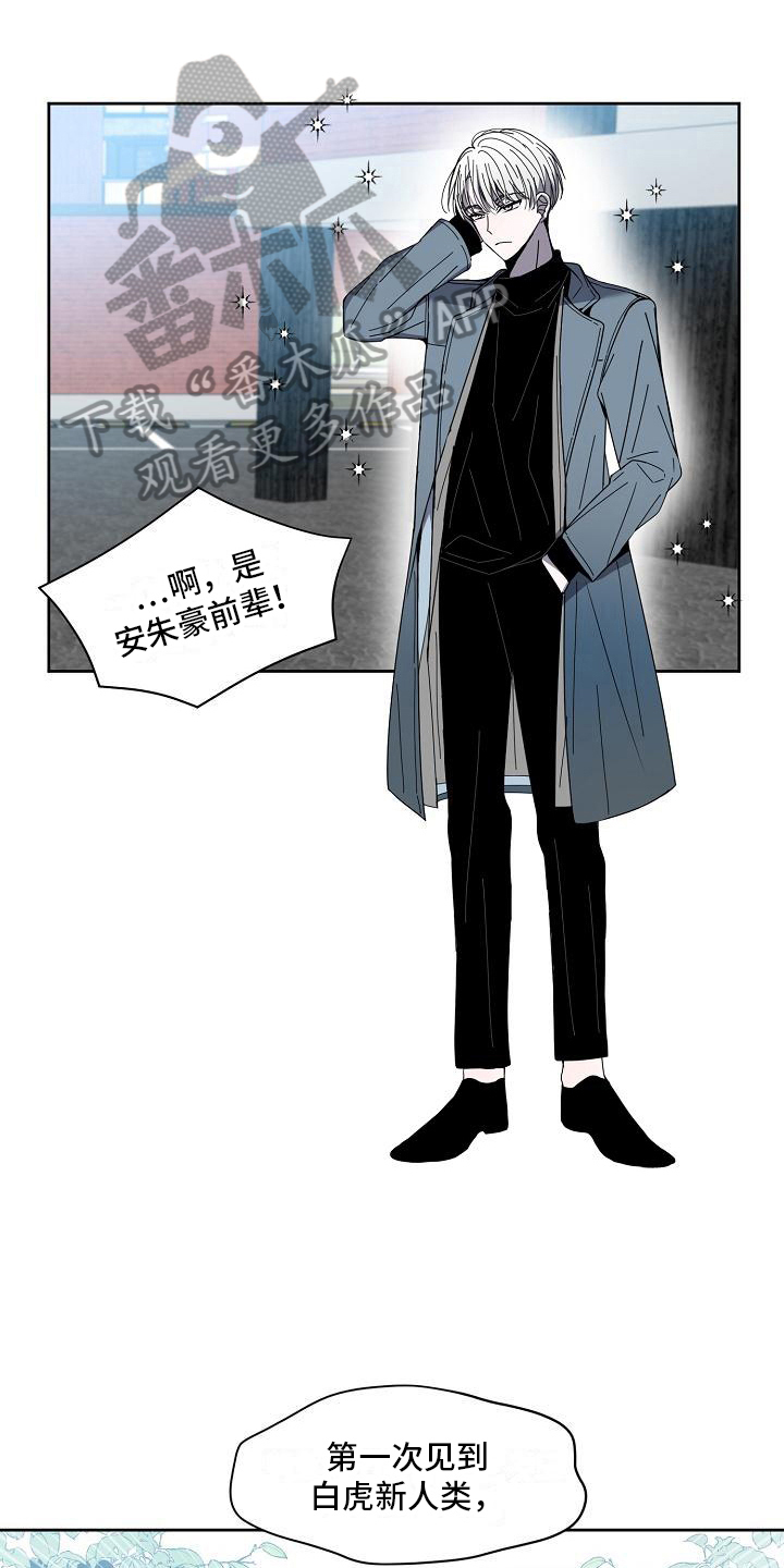 第26章：业界标杆14