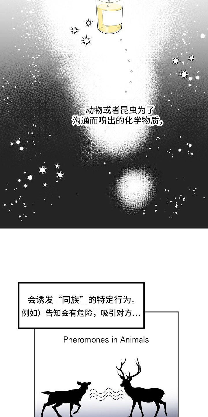 第18章：特殊香水9