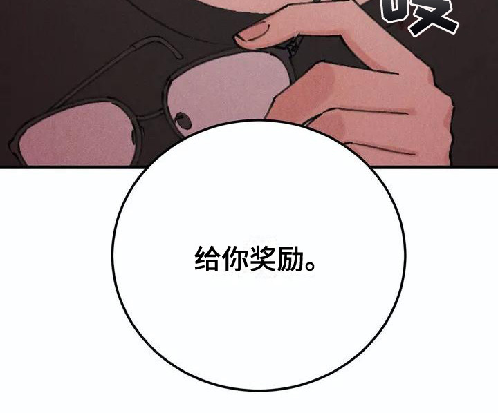 第1章：说实话19
