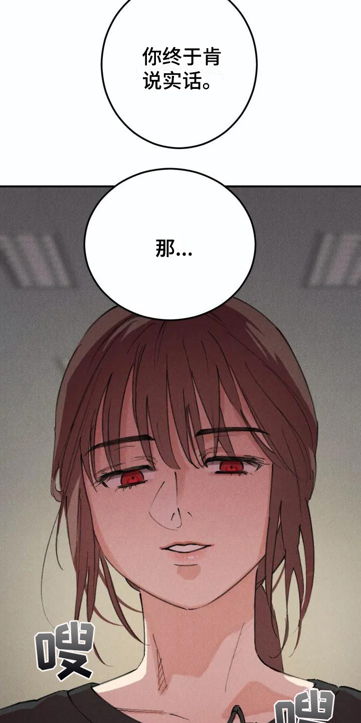第1章：说实话18