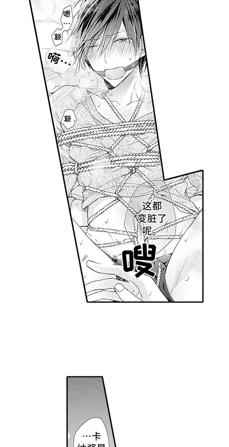 第9章：独占16