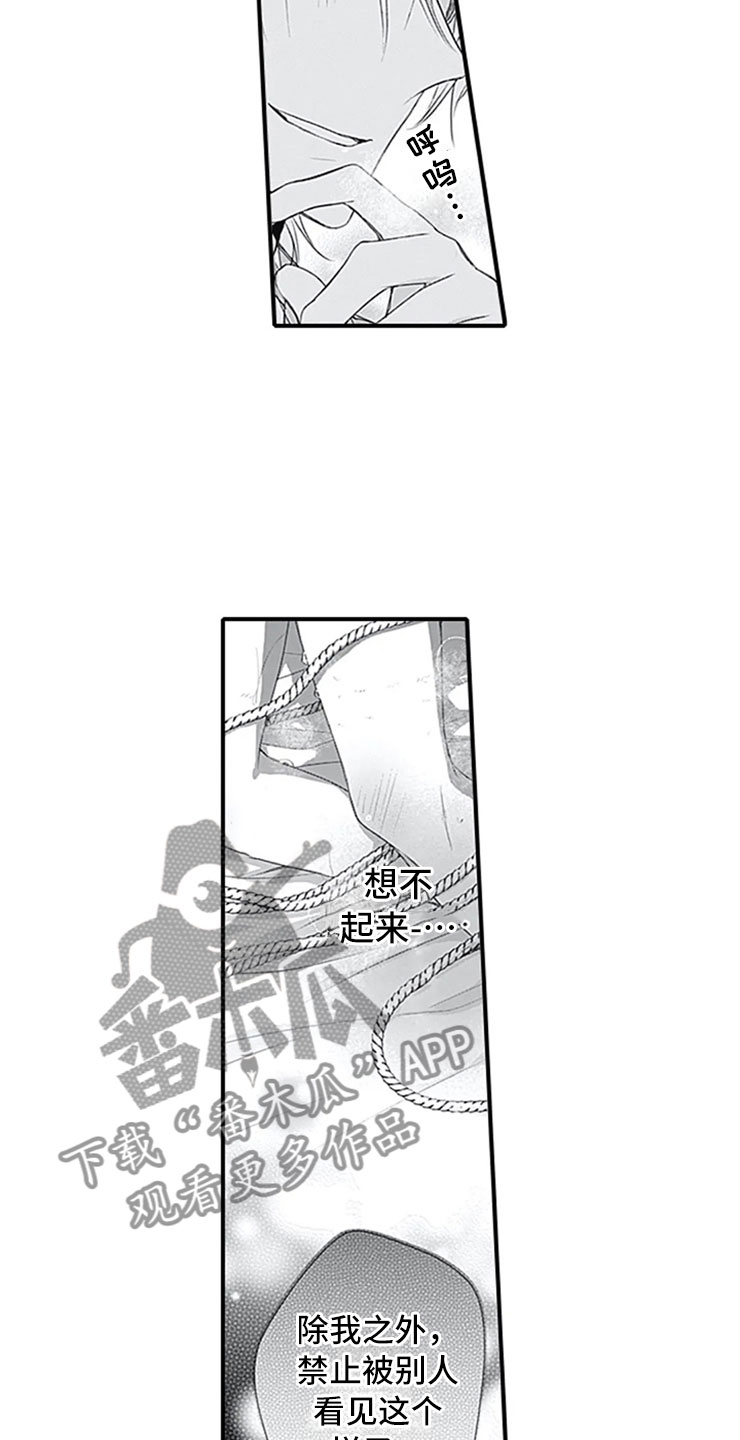 第9章：独占19