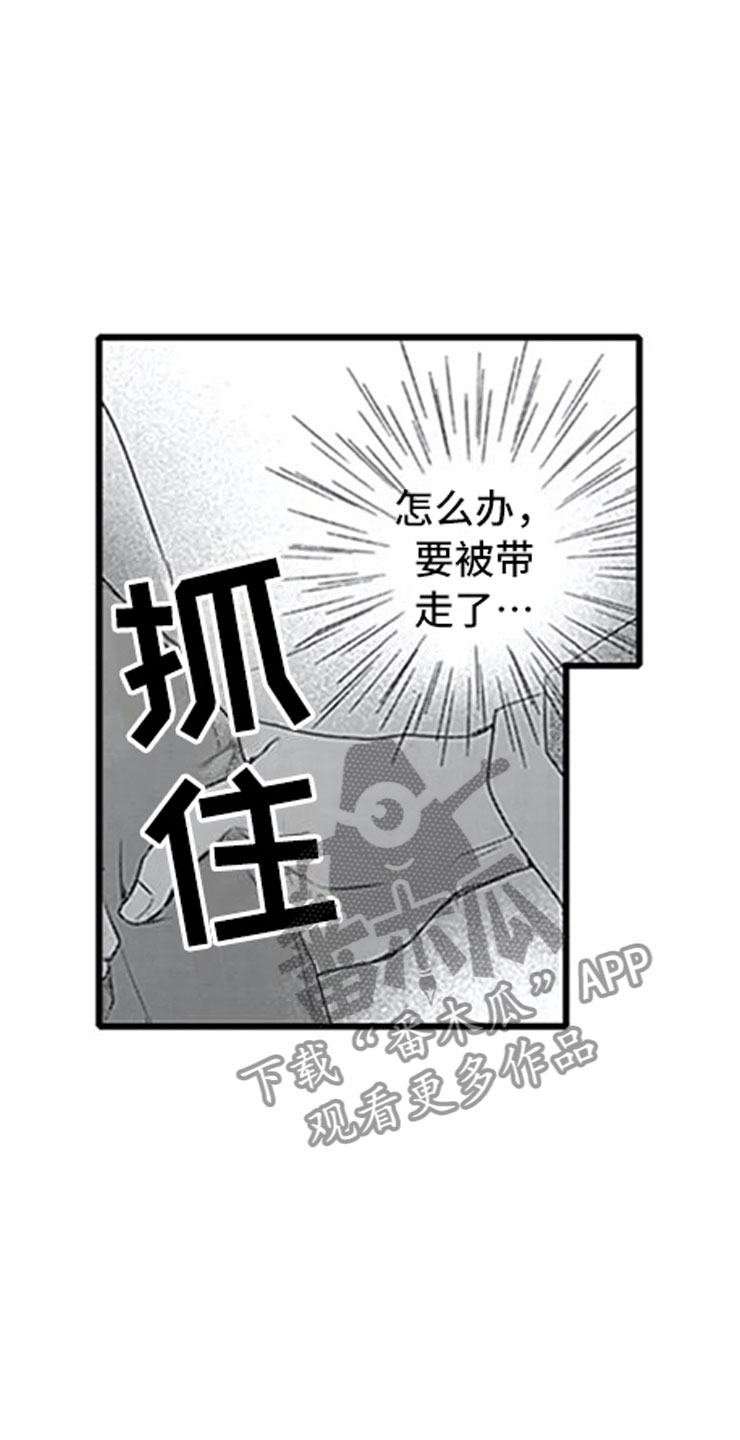 第12章：抓包4