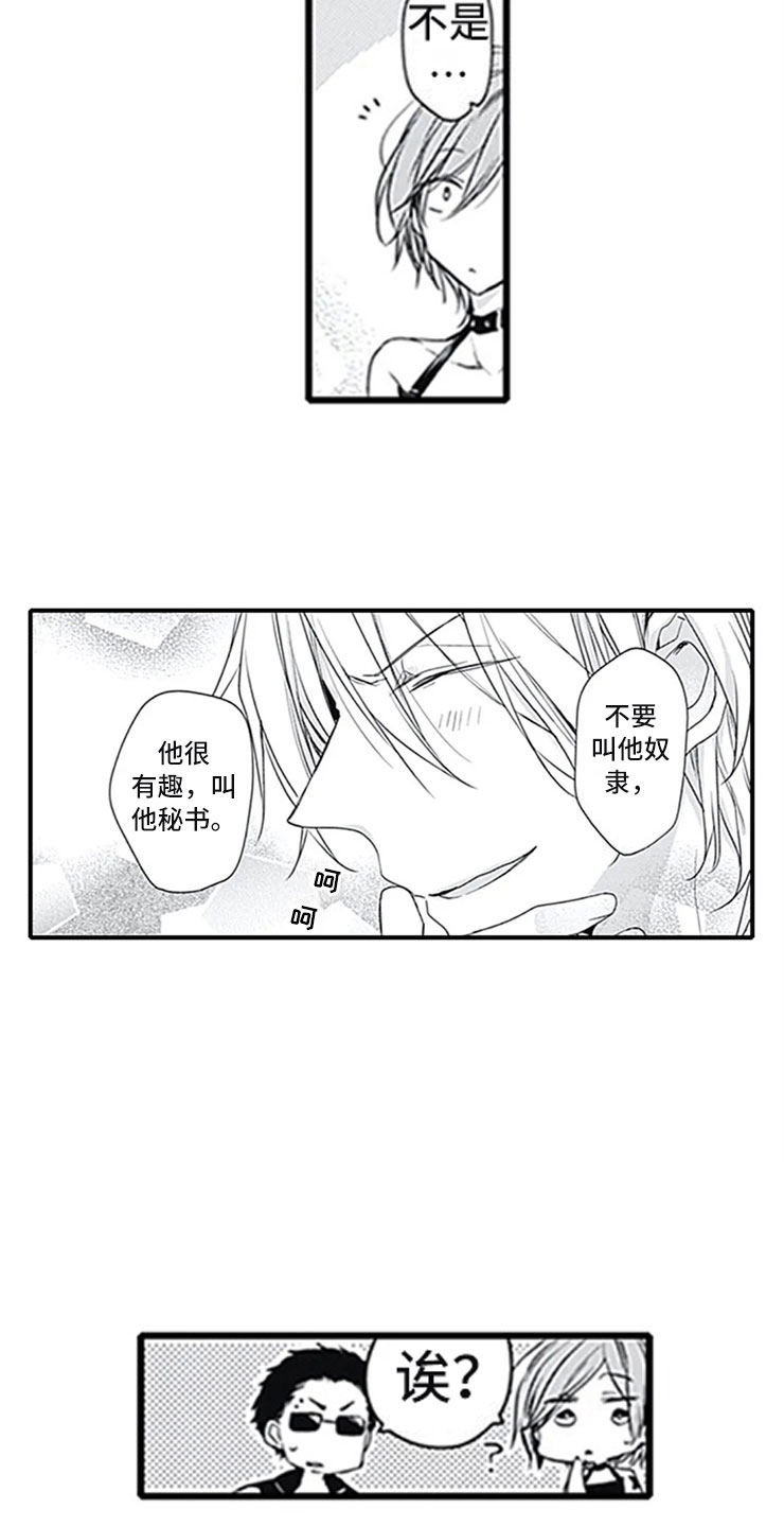 第5章：确认8