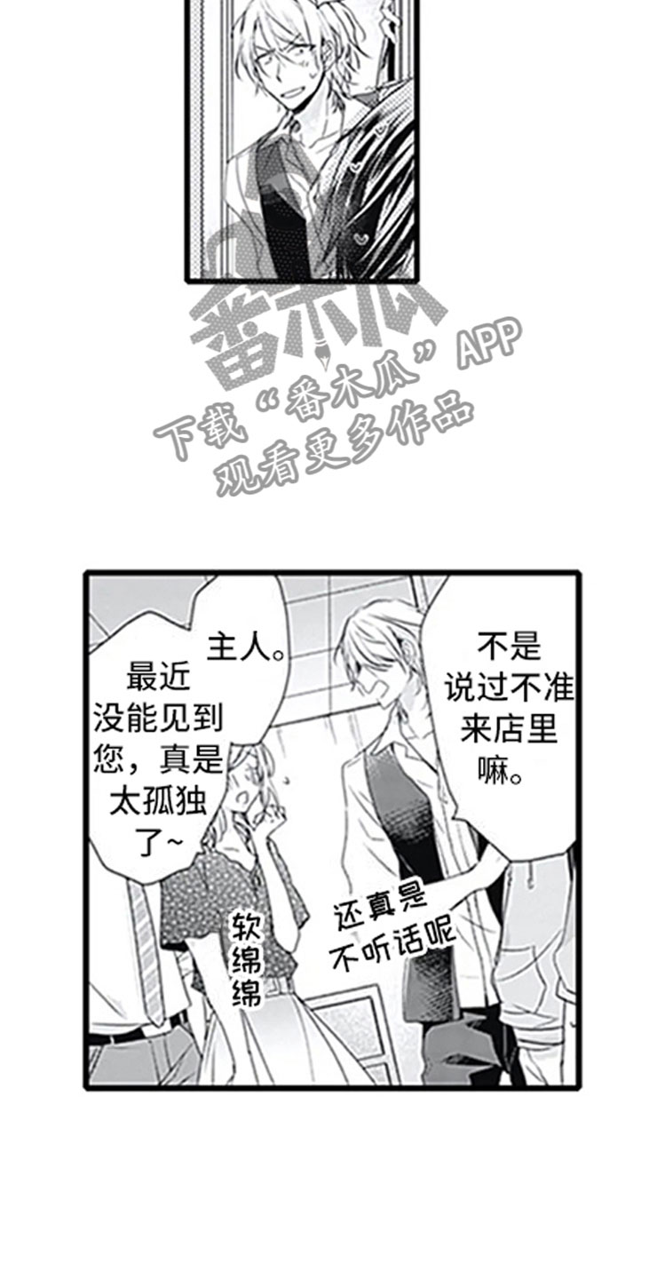 第7章：新人13