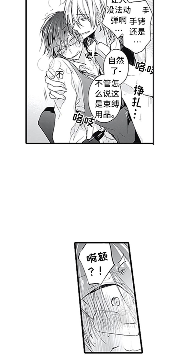 第4章：玩耍21