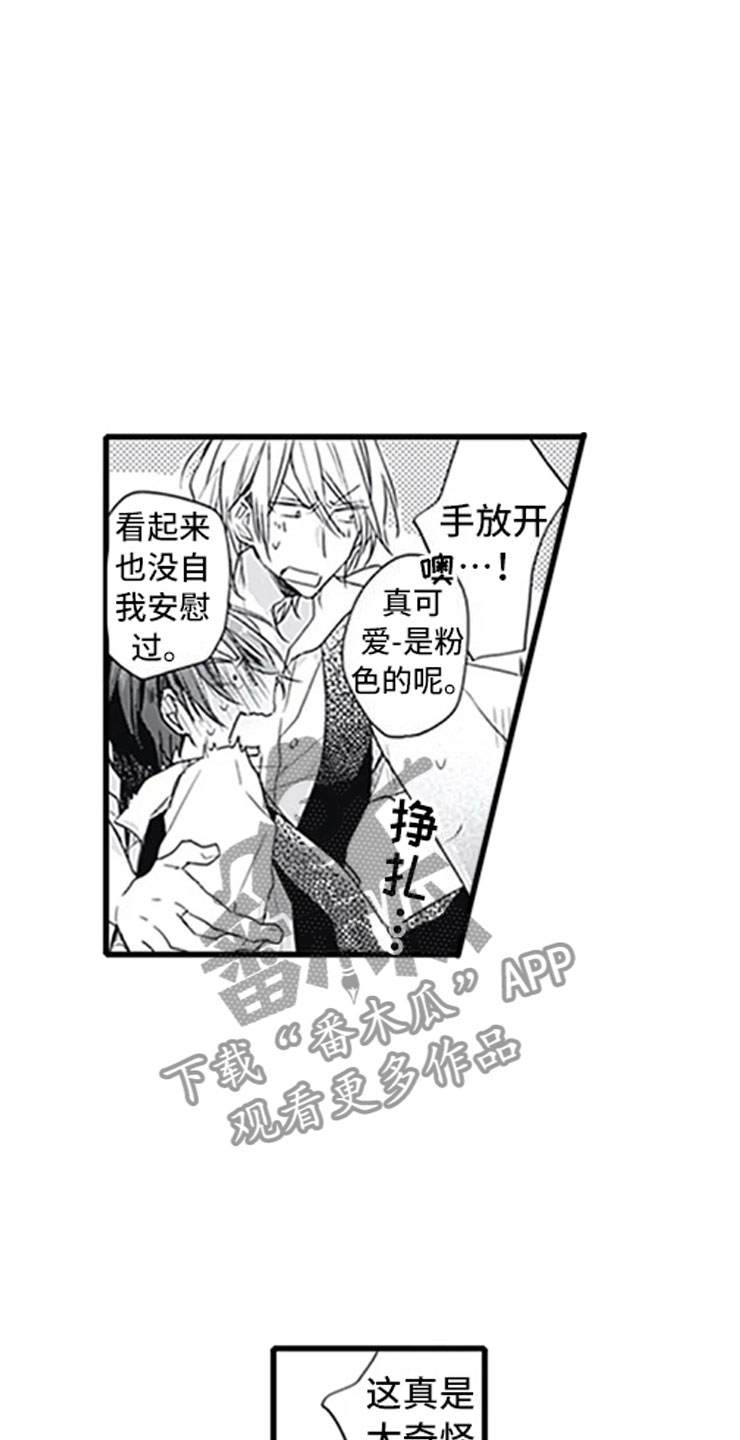 第4章：玩耍17