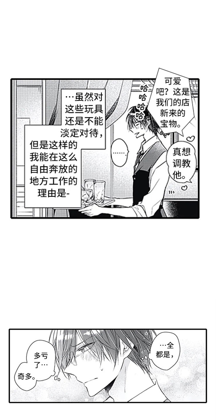 第10章：改变态度17