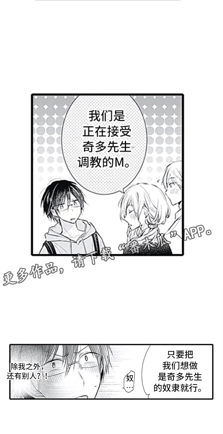 第7章：新人11