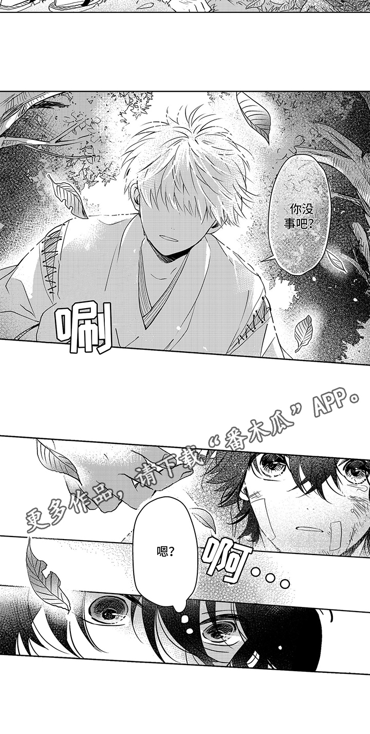 第5章：无法理解6