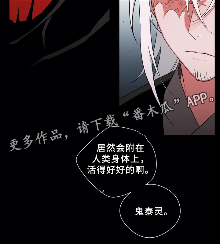 第47章：元凶4