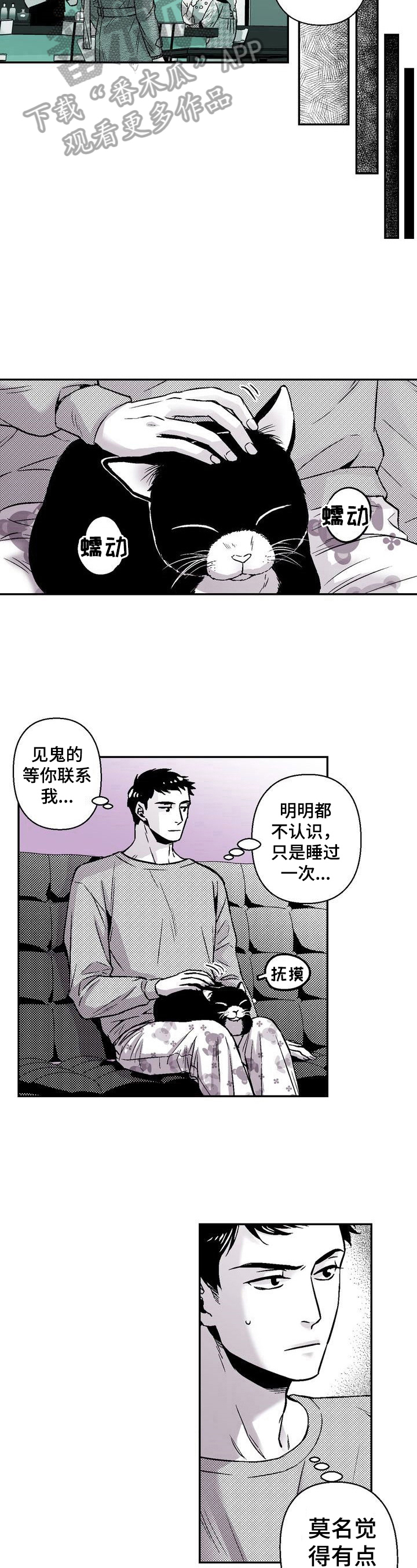 第32章：撸猫5
