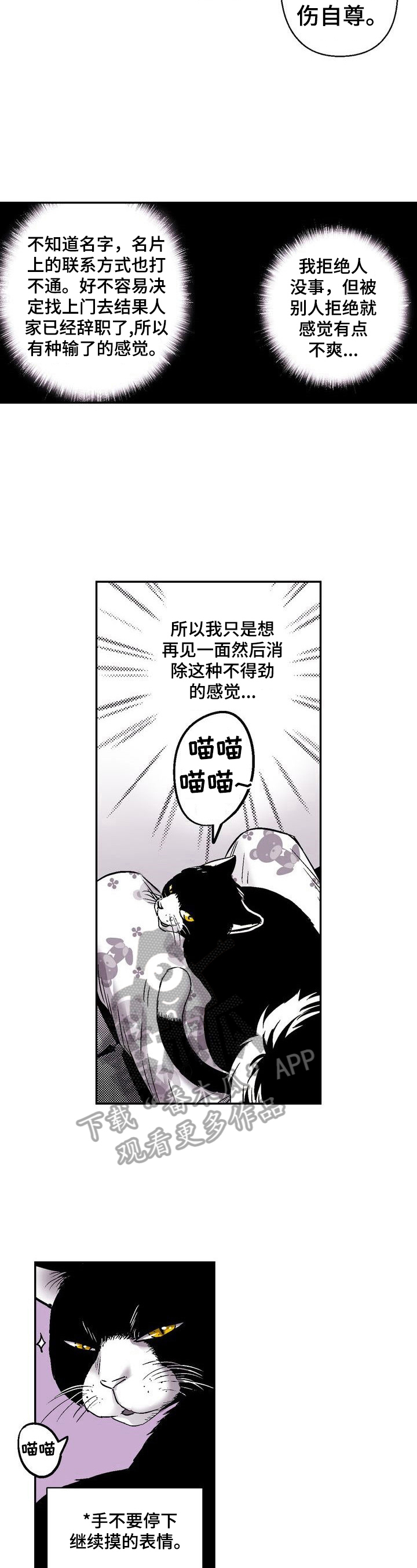 第32章：撸猫6
