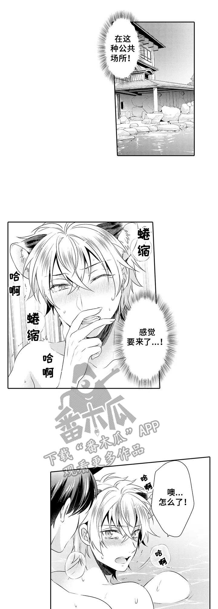 第19章：积极1