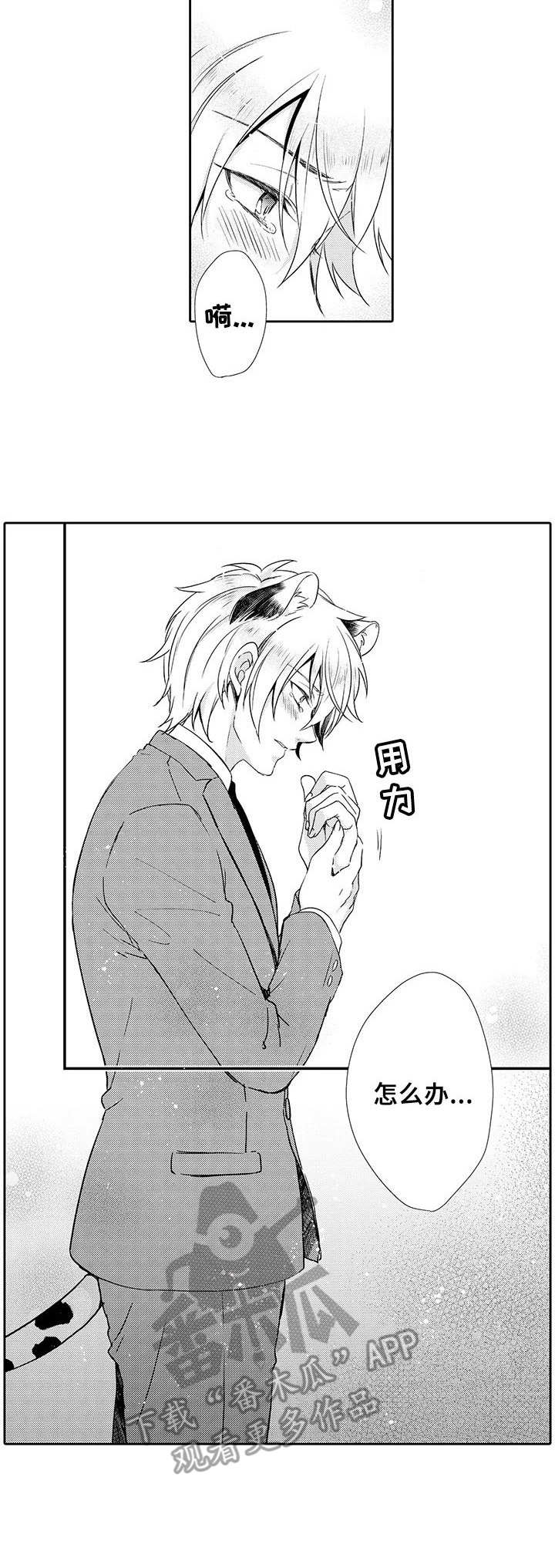 第14章：误解9