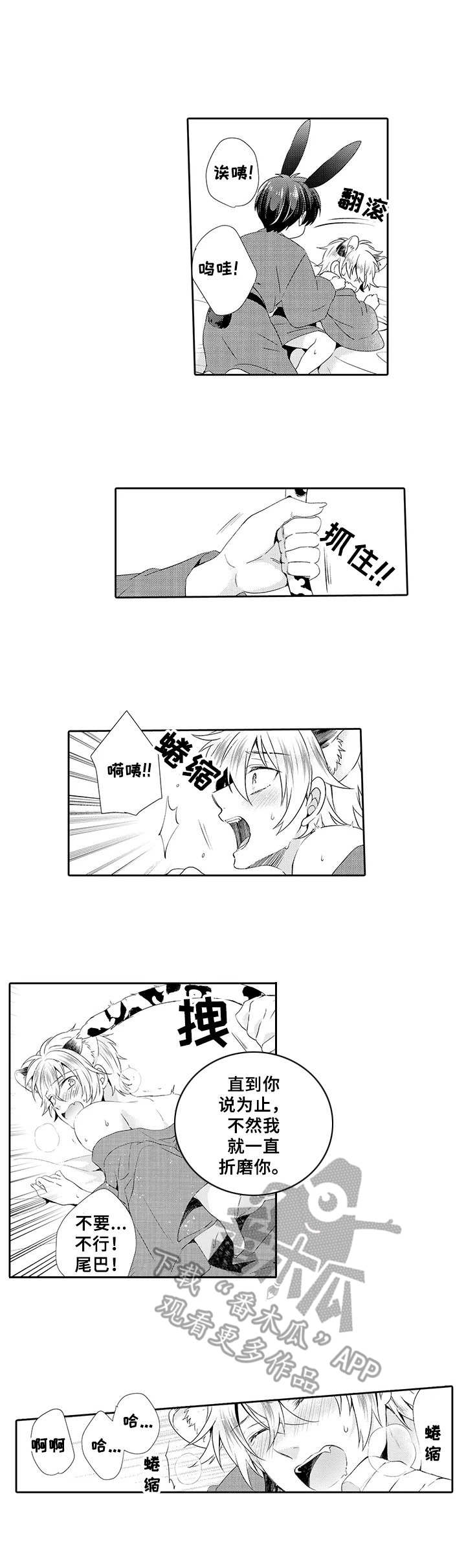第19章：积极6