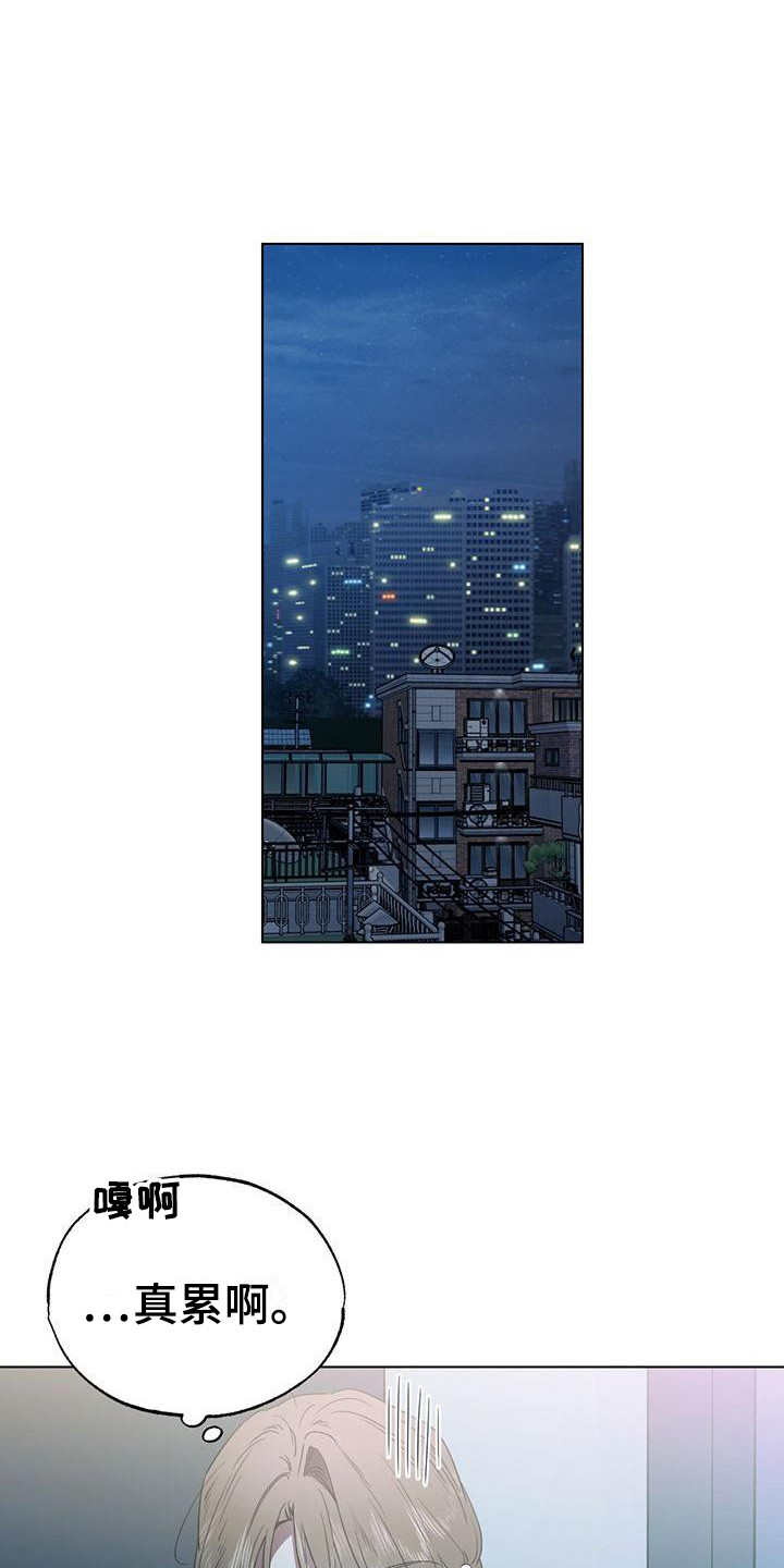 第17章：打闹0