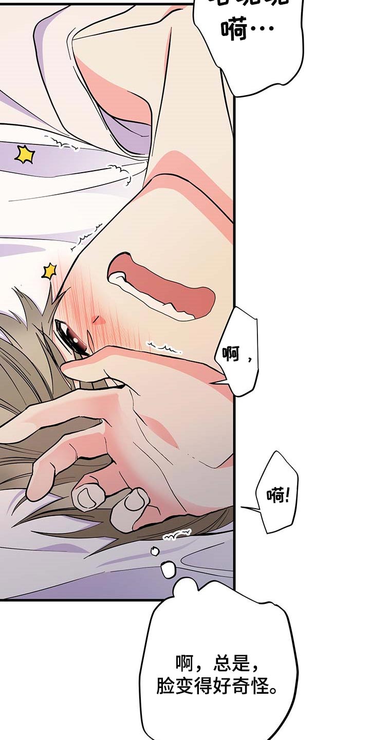 第41章：谨慎22