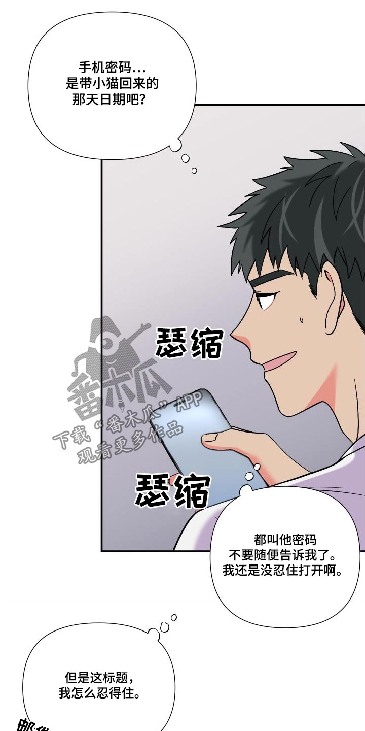 第117章：【第三季】报告5