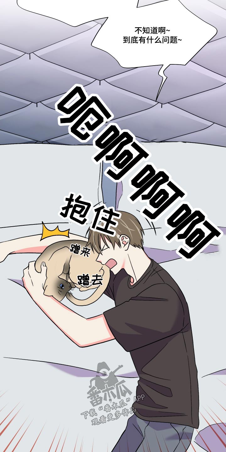 第118章：【第三季】幻想10