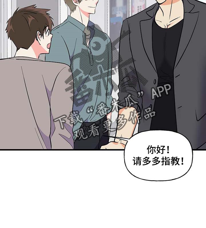 第51章：询问工作16