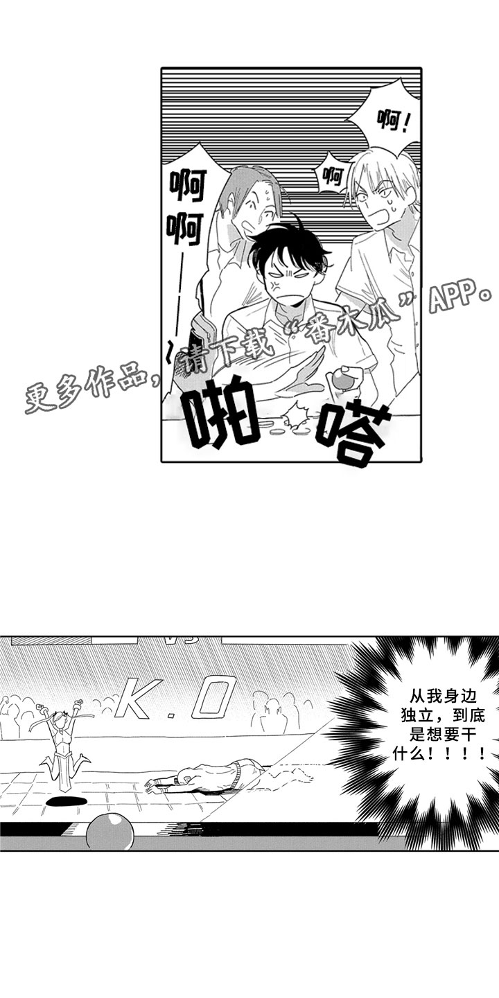 第13章：独立8