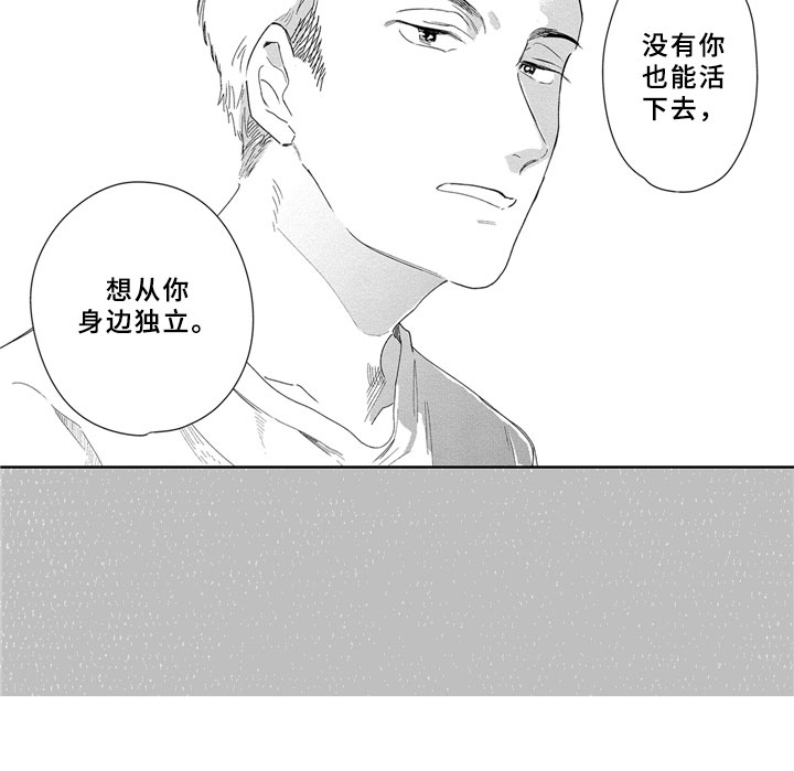第13章：独立6