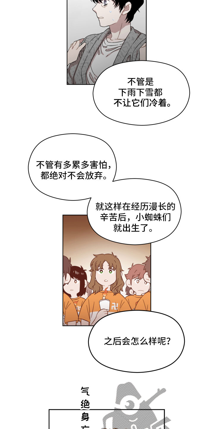 第4章：蜘蛛的故事4