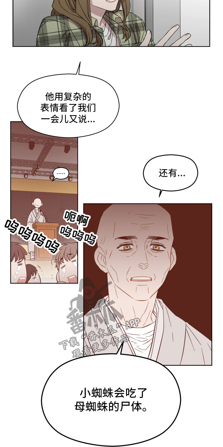 第4章：蜘蛛的故事6