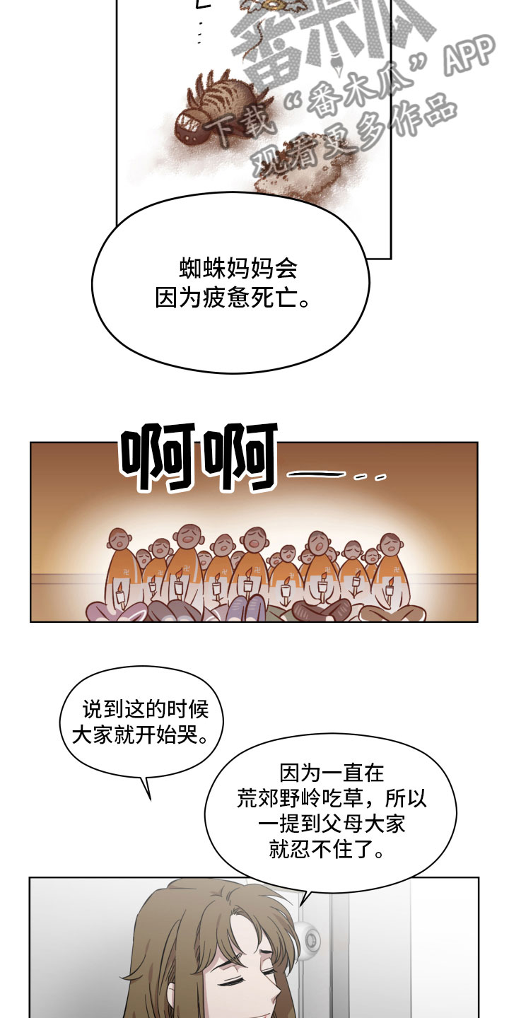 第4章：蜘蛛的故事5