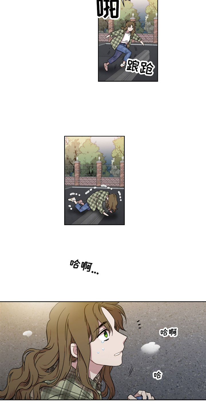 第6章：寻找11