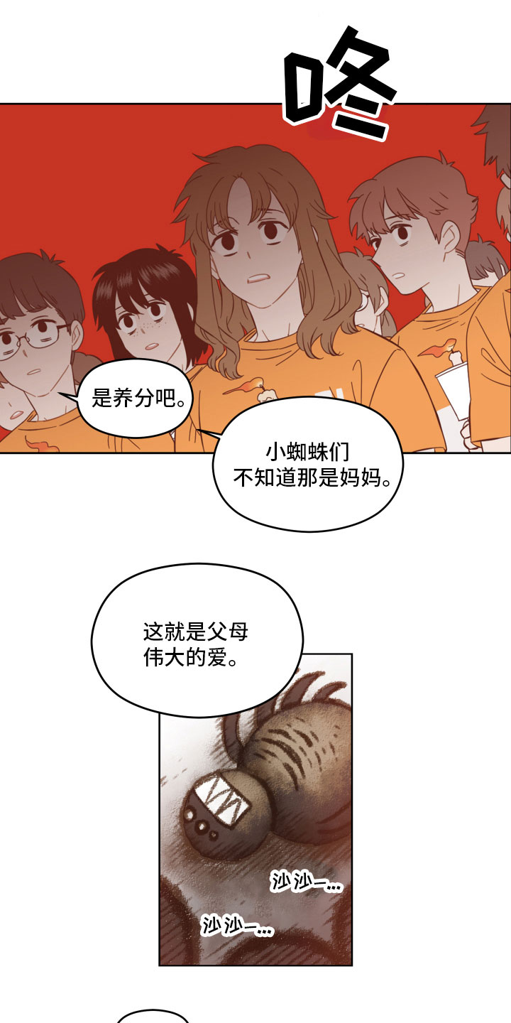 第4章：蜘蛛的故事7