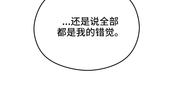 第61章：都是错觉吗27