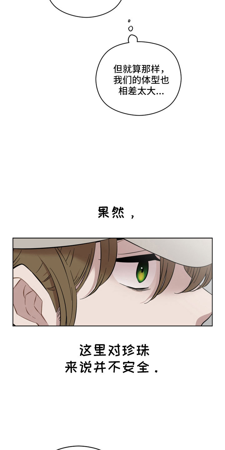 第50章：出门玩5