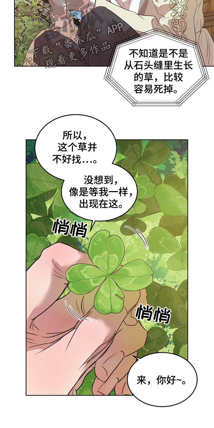 第104章：【第二季】四叶草16