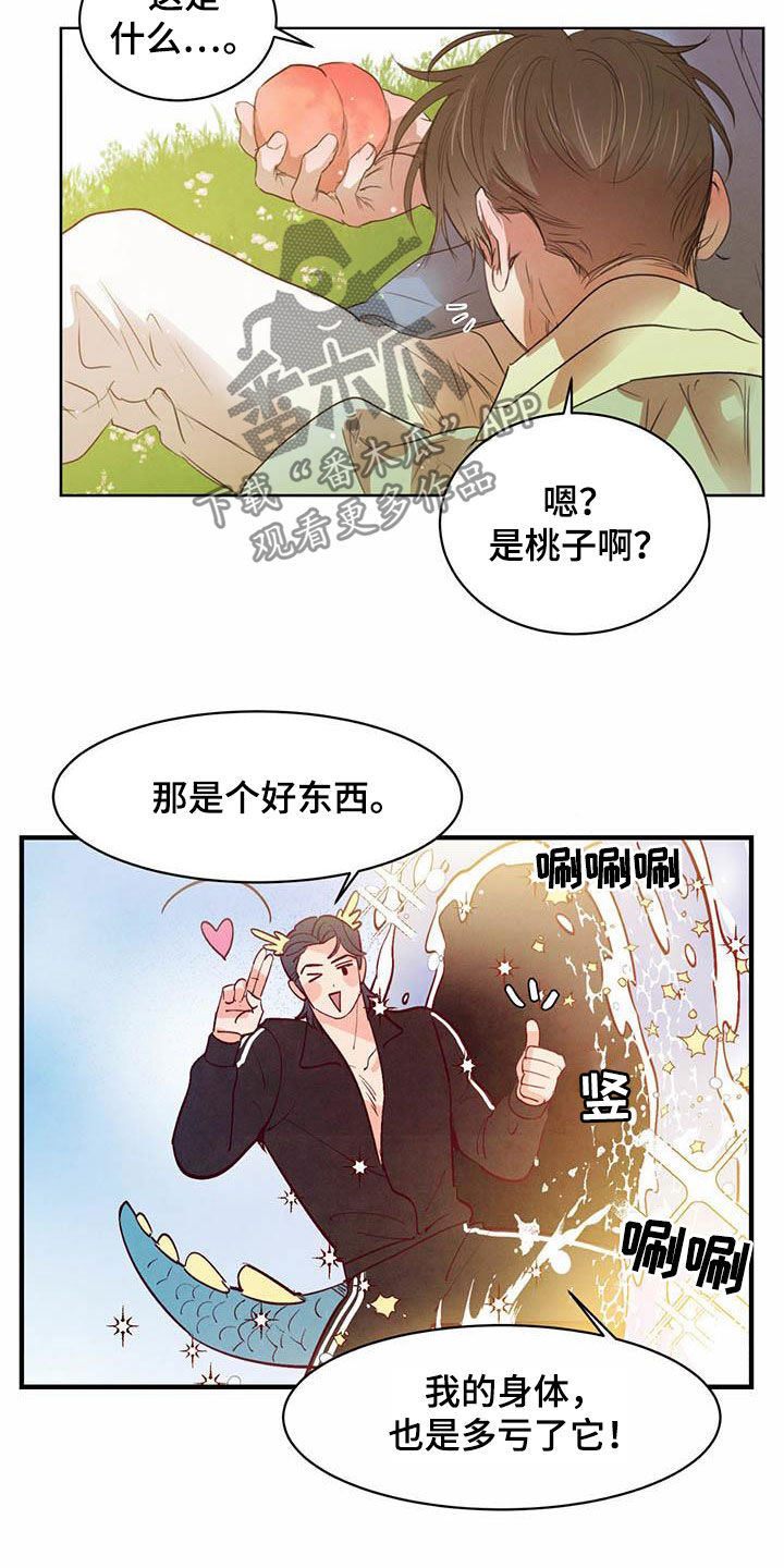 第108章：【特别篇】龙飞桃落6