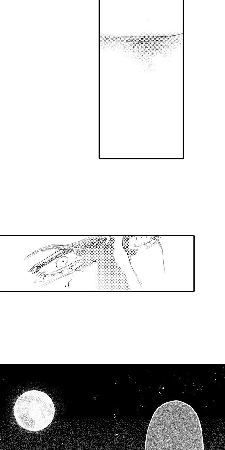 第25章：再次逮捕12
