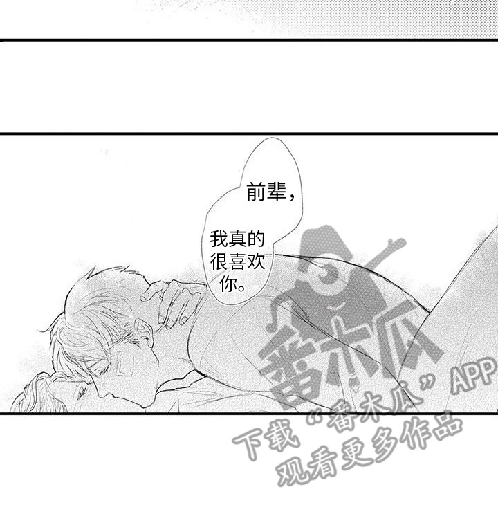 第27章： 很喜欢（完结） 13