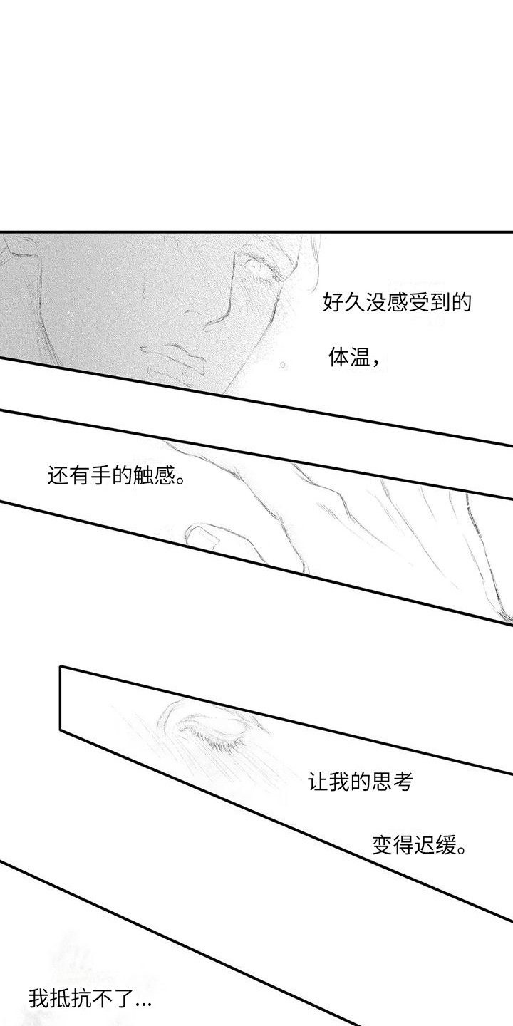 第3章：提议15