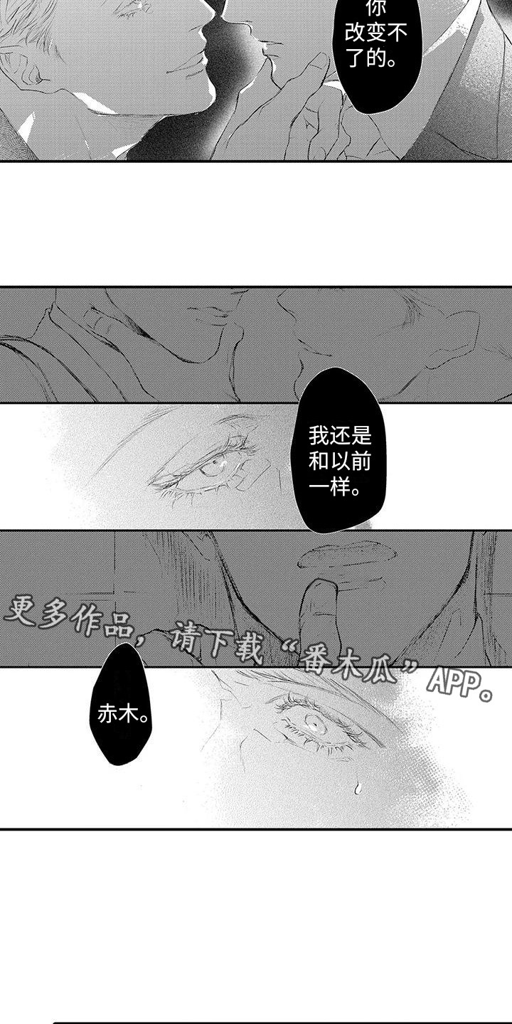 第20章： 开始行动4