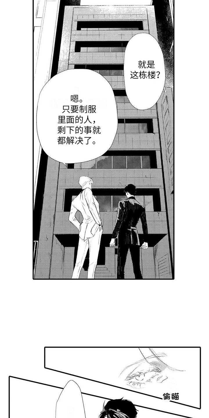 第20章： 开始行动15