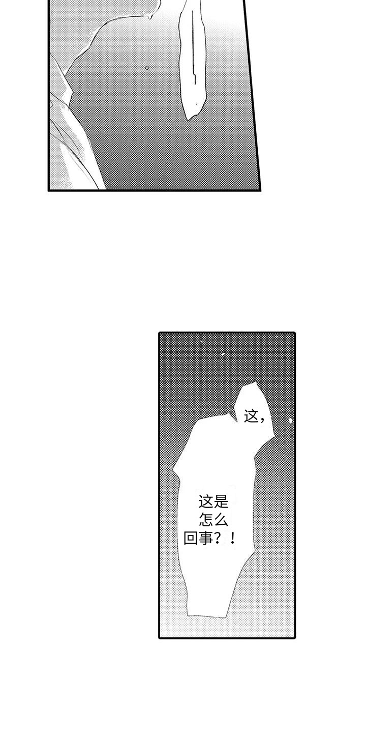 第3章：提议3